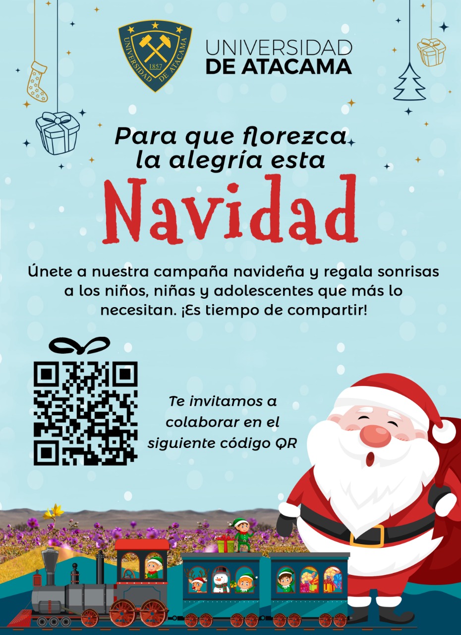 Navidad Solidaria